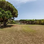 Masia Sant Miquel Canet De Mar
